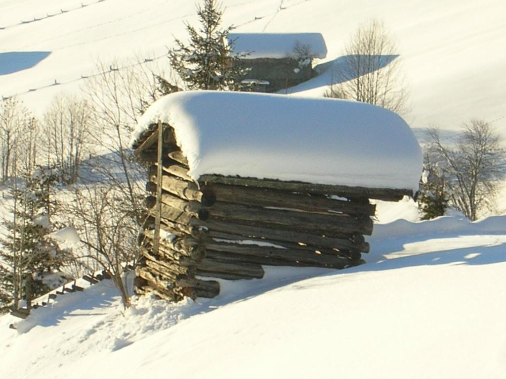 Haus Konrad Leilighet Reith im Alpbachtal Eksteriør bilde